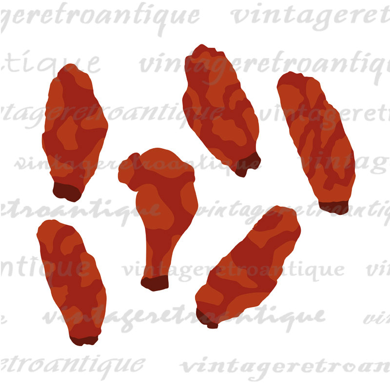 Clipart of chicken wings clip