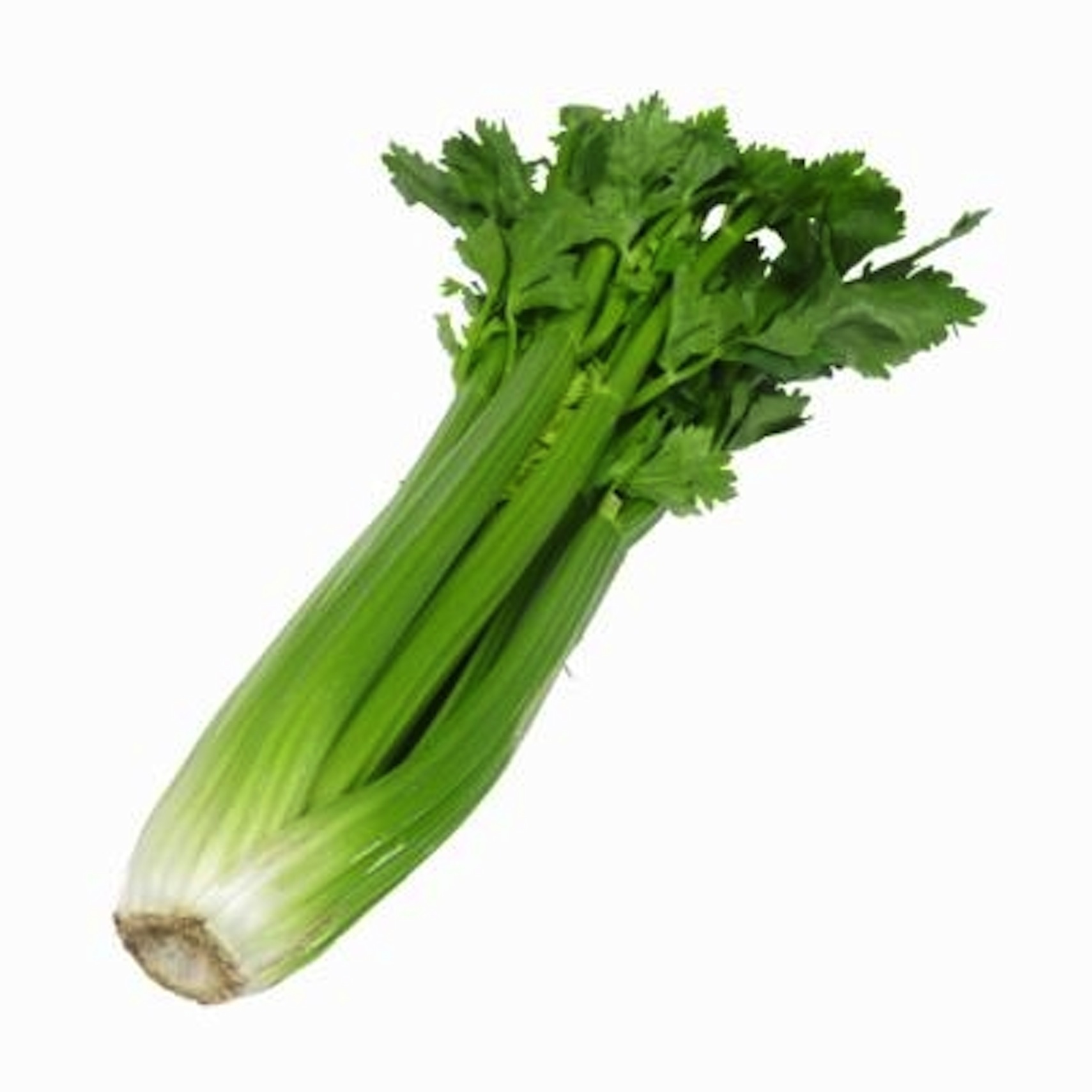 for glowing skin - celery . - Celery Clipart