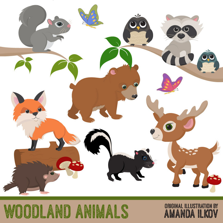 Forest Animal Clipart