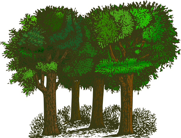 Forest Clipart - Clipart Forest