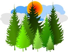 Clipart Info - Forest Clipart