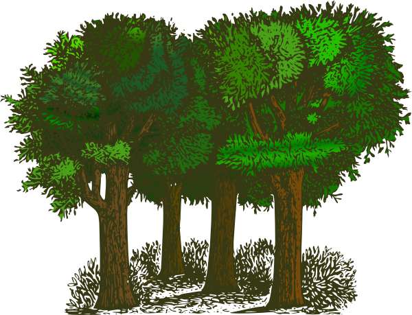 Clipart Info - Forest Clipart