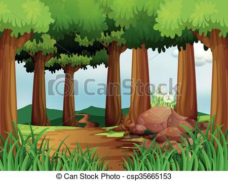 Nature scene with hiking track in the forest - csp35665153