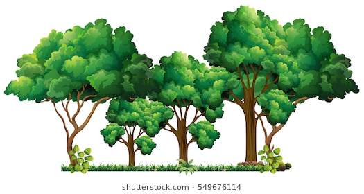 Scene with many trees illustr - Forest Clipart