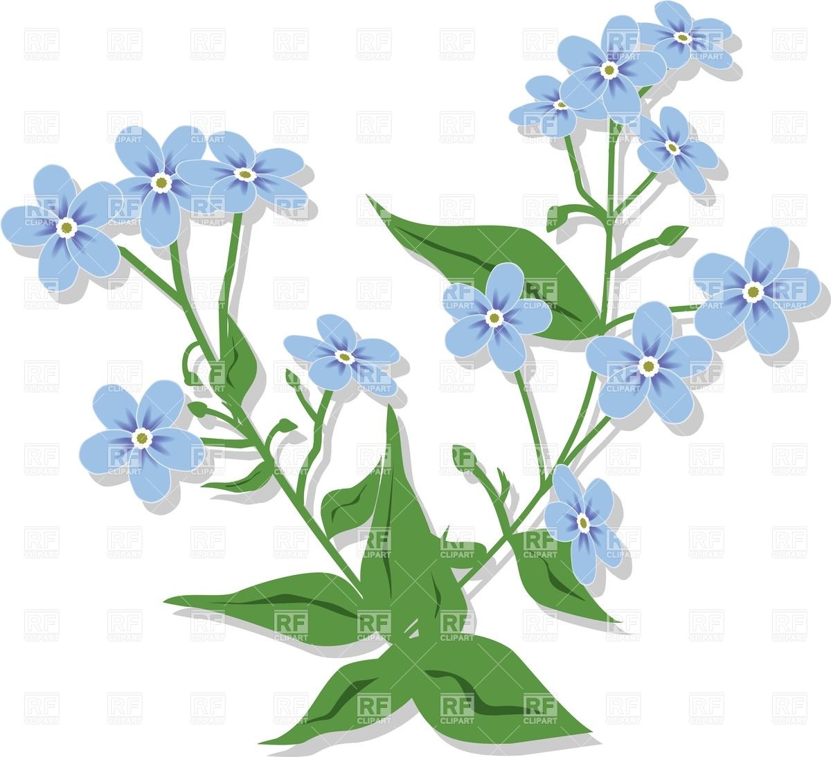 Bouquet from forget-me-nots - violet flowers Royalty Free Vector Clip Art