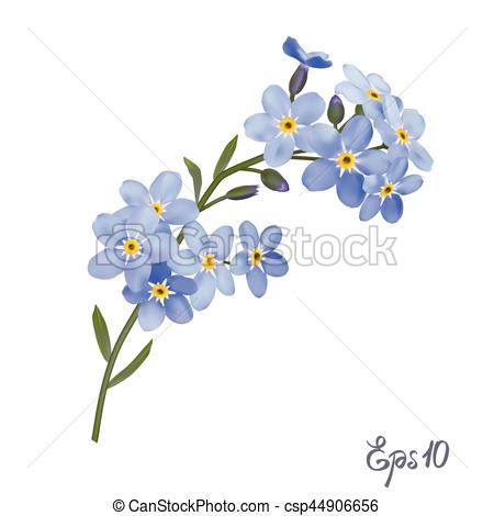 Branch of blue forget-me-not flowers. - csp44906656