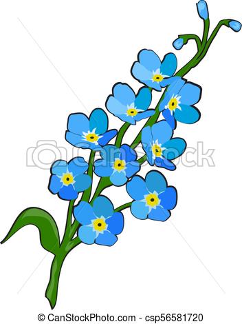 forget me not flower - csp56581720