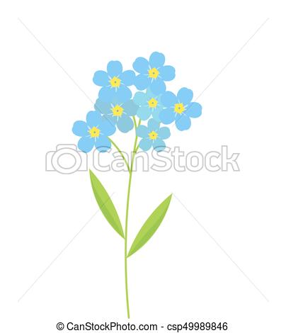 Forget me not flowers - csp49989846