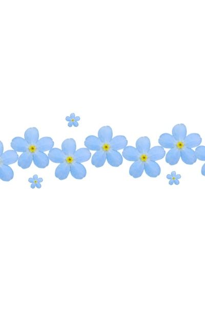 Forget Me Nots Borders Clipart | ClipArtHut - Free Clipart