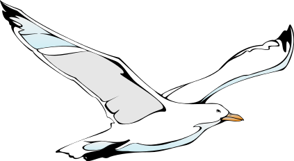 Flying Sea Gull Clip Art At C