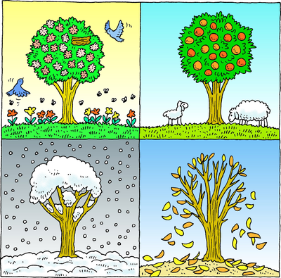Four Seasons Clipart