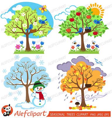 Four Seasons Trees Clipart and Vector with Spring, Summer, Fall and Winter Trees from