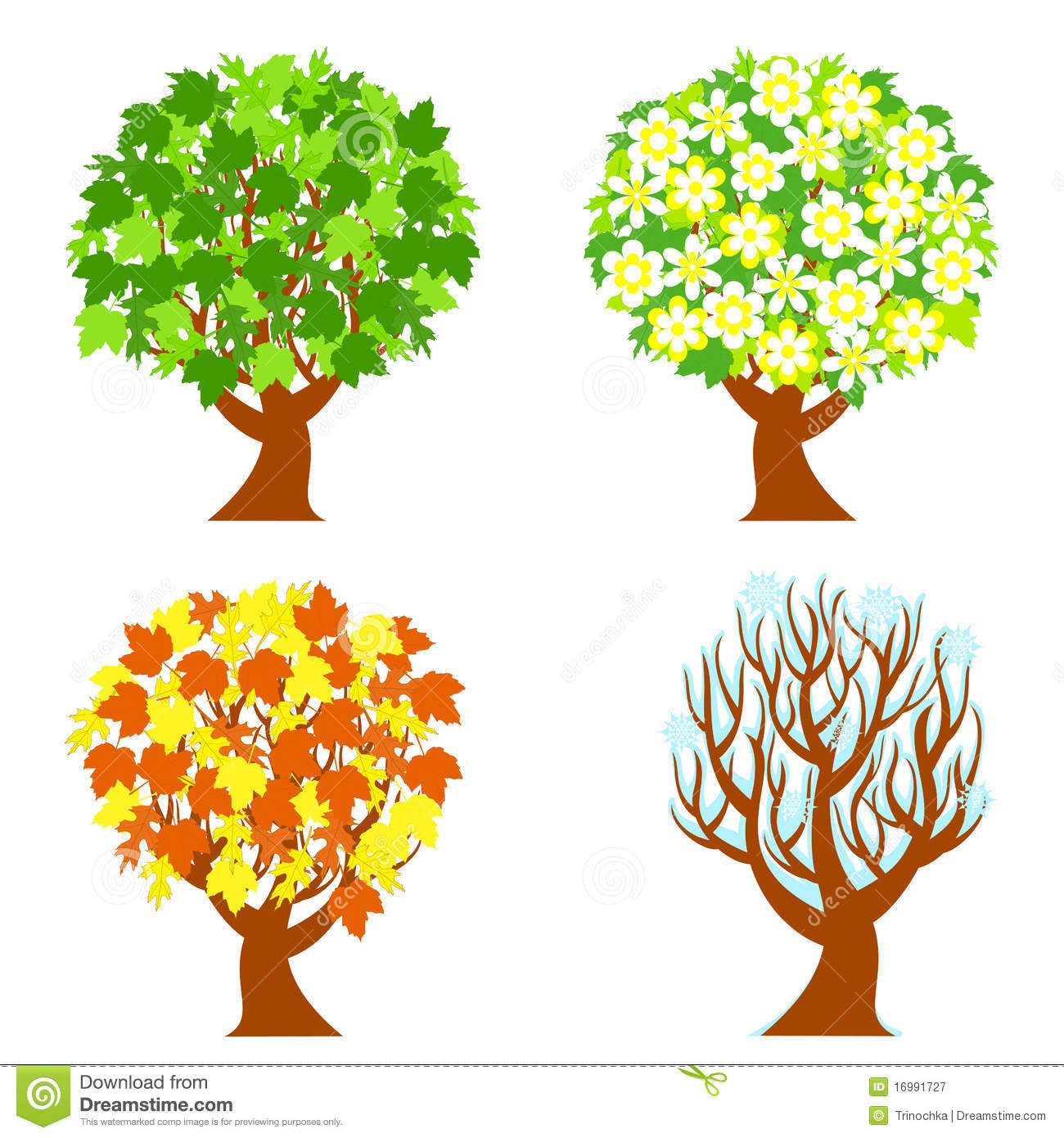 Four Seasons Trees Royalty Free Stock Photography Image 16991727