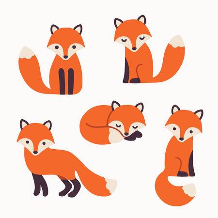 Set of cute cartoon foxes in modern simple flat style. Isolated vector  illustration Illustration