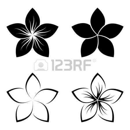 four frangipani silhouettes f - Frangipani Clipart