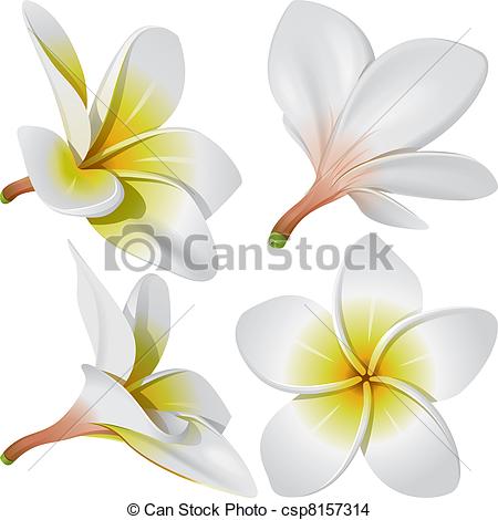 Hawaiian necklace flowers - c - Frangipani Clipart