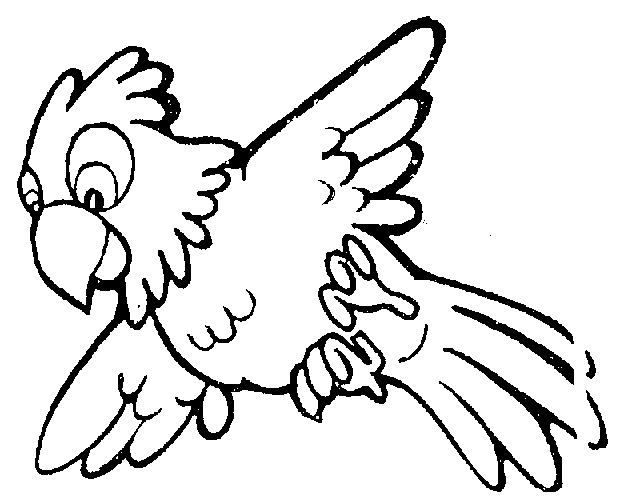 free parrot clipart
