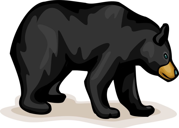 Black Bear Drawing Clipart Be