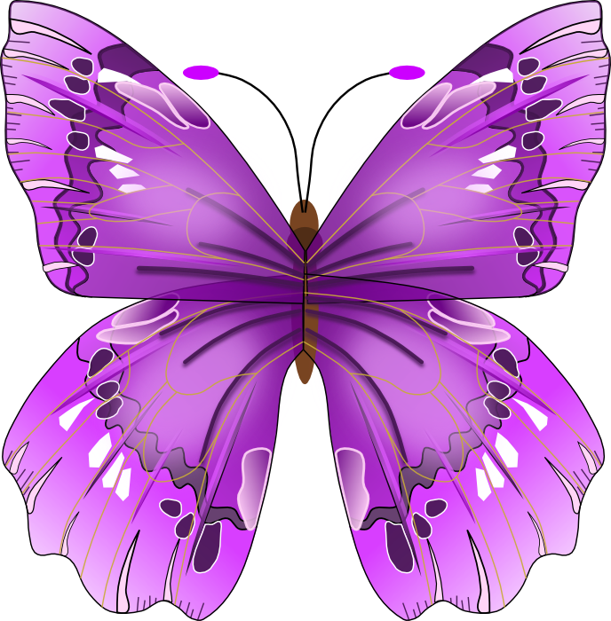 Purple butterfly clipart ...