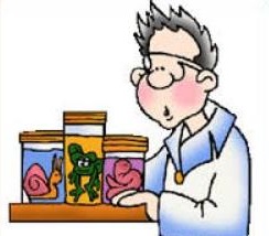 Free Biologist Clipart ... - Biology Clip Art