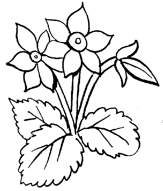 Free Black And White Clip Art - Flowers Clipart Black And White
