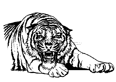 Free Black and White Tiger Cl - White Tiger Clipart