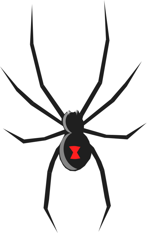 Free Black Widow Spider Clip  - Clip Art Spider