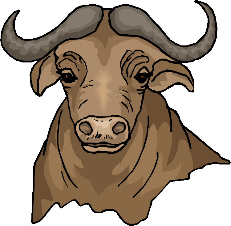 Free buffalo clipart - Clipart Buffalo