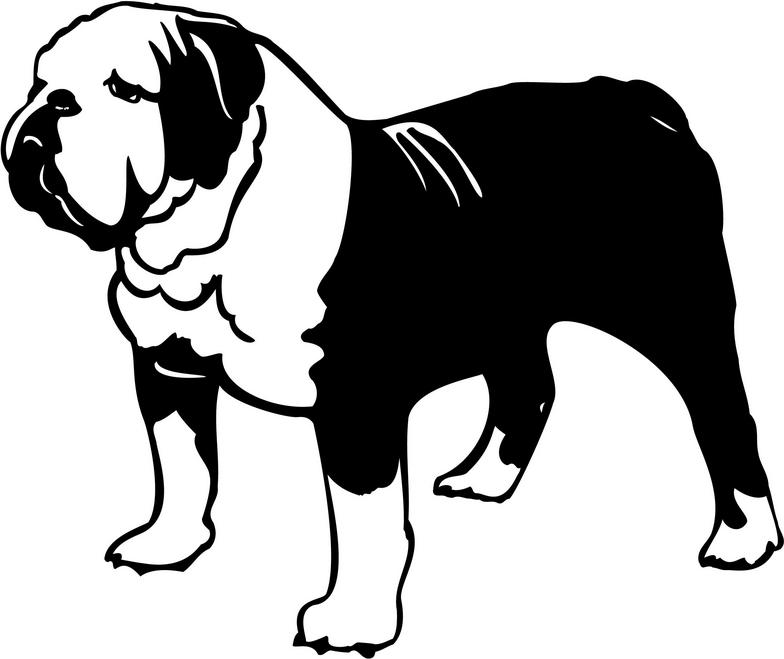 Free bulldog clipart pictures 4
