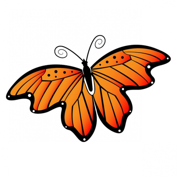 free butterfly clipart - Free Butterfly Clipart