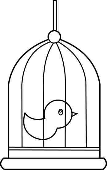 bird cage: antique empty bird