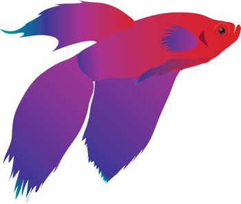 Free Clip Art Picture Of A Red And Purple Beta Fish