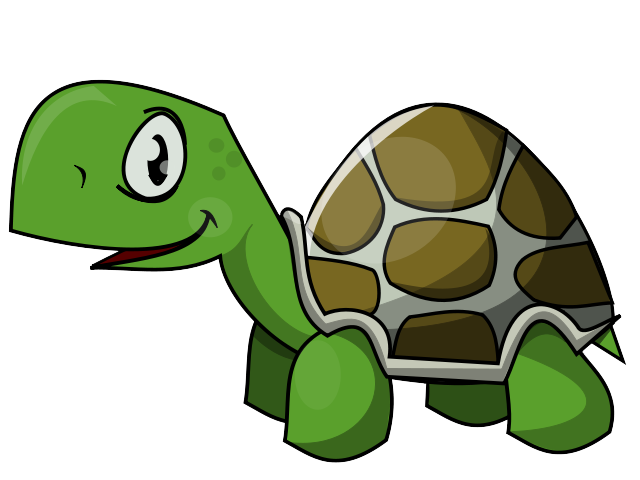 Cartoon Tortoise And Turtle C