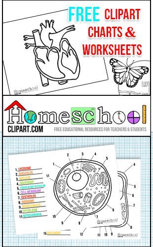 Free Clipart, Charts u0026amp; Worksheets at http://HomeschoolClipart clipartall.com Perfect for