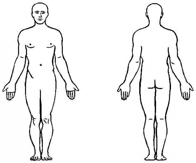 11 Human Body Outline Templat