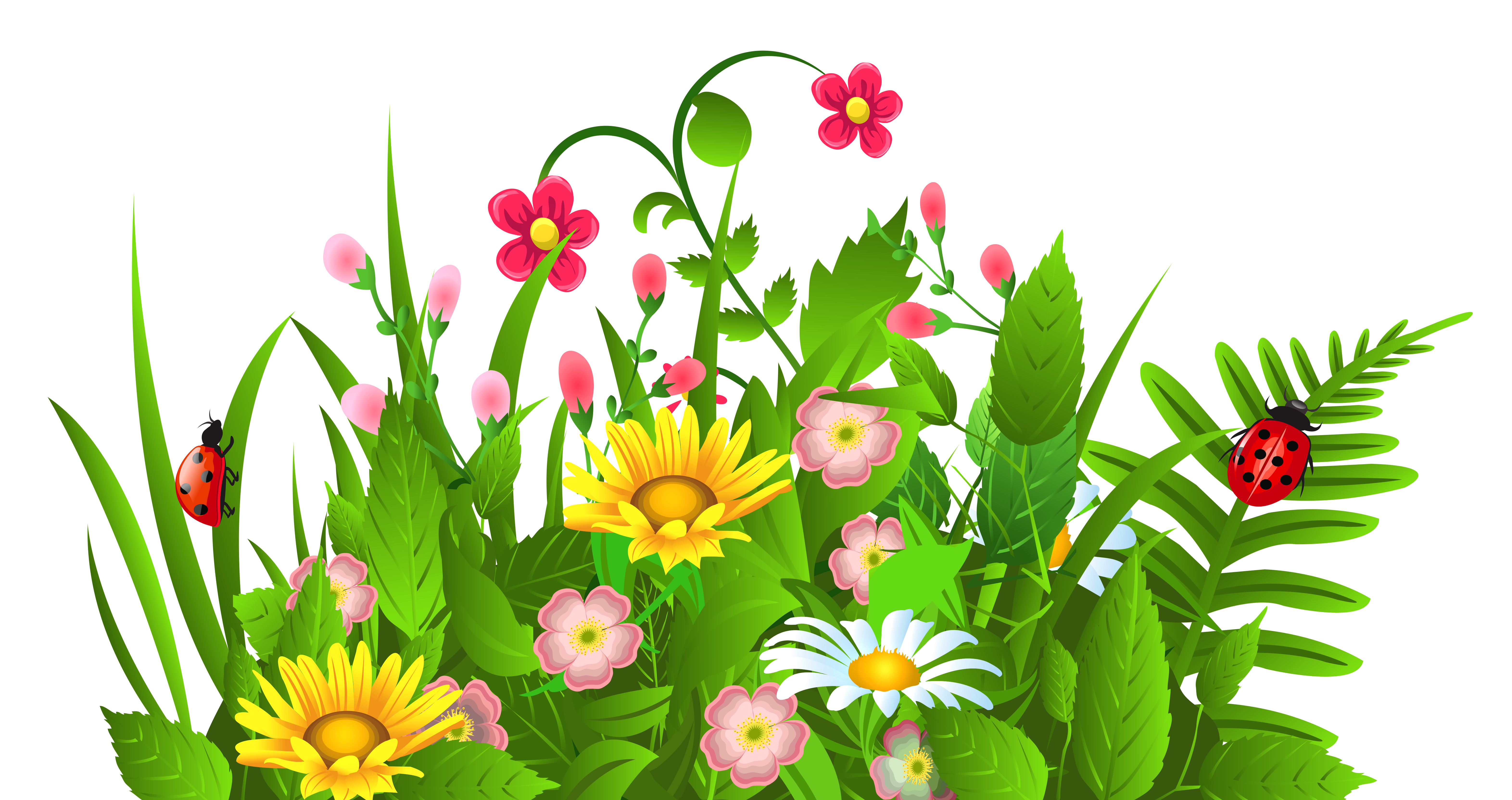 Free clipart images of flowers flower clip art pictures image 1 - Clipartix