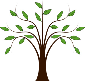 Free clipart willow tree - .