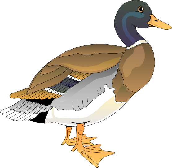Free Colorful Duck Clip Art - Clipart Duck