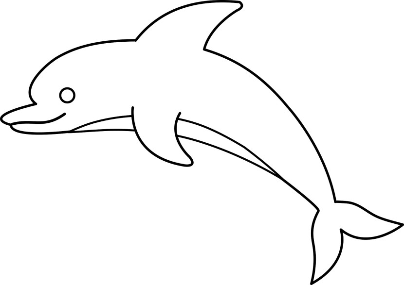 Cute Baby Dolphin Clipart Cli