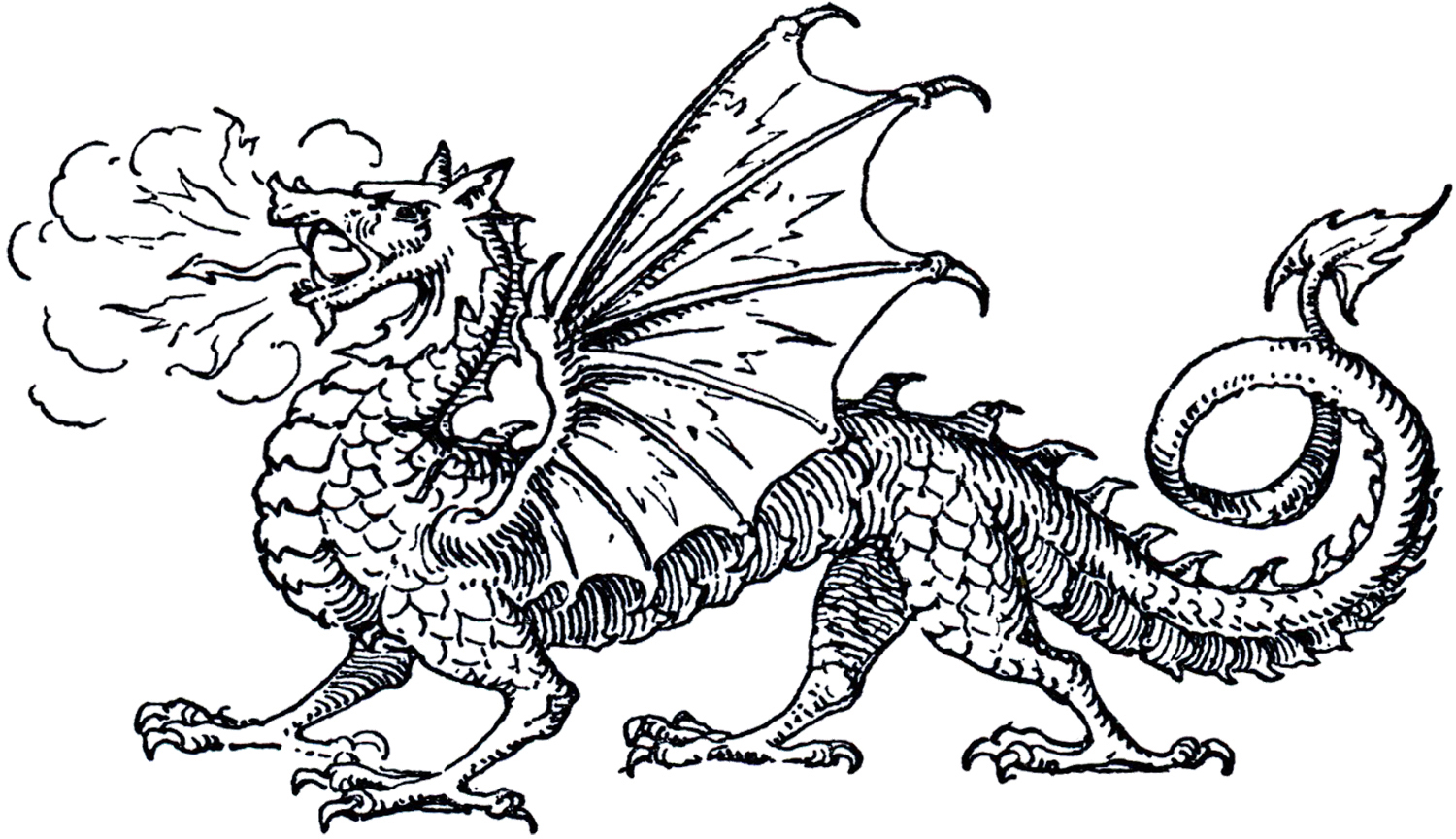 Free Dragon Images - Clipart 