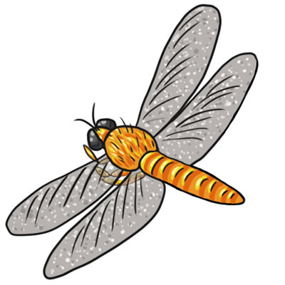 dragonfly: Vector illustratio
