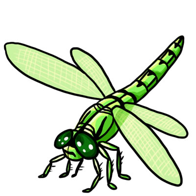 Dragonfly clipart great mini 