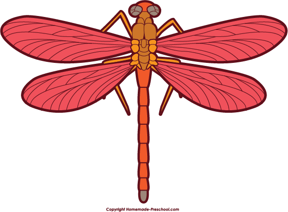 Pink and Yellow Dragonfly