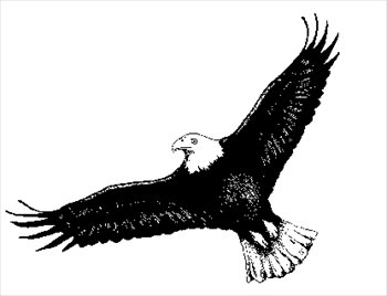 Free eagle clipart black and .