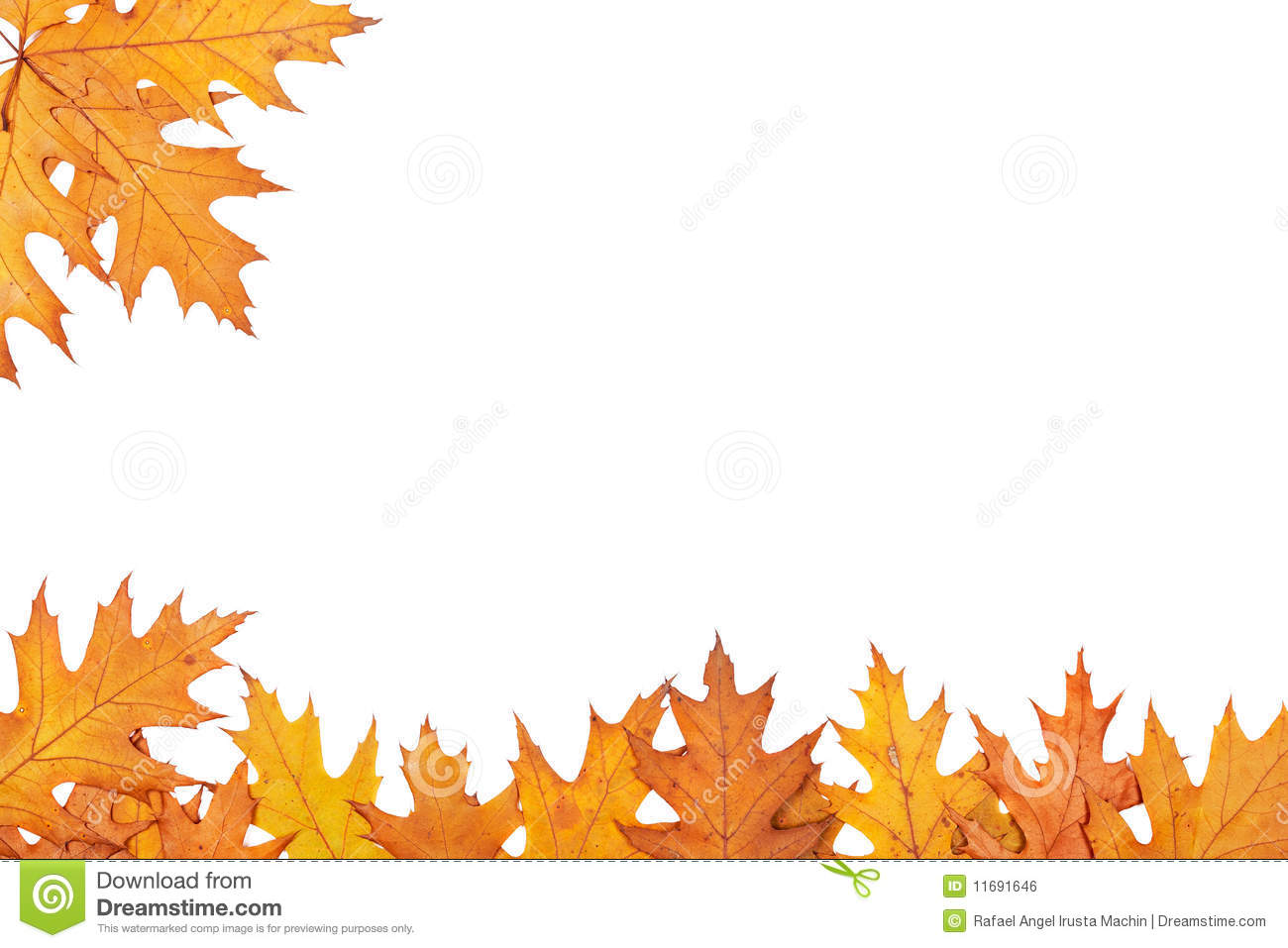 ... Autumn border - Illustrat
