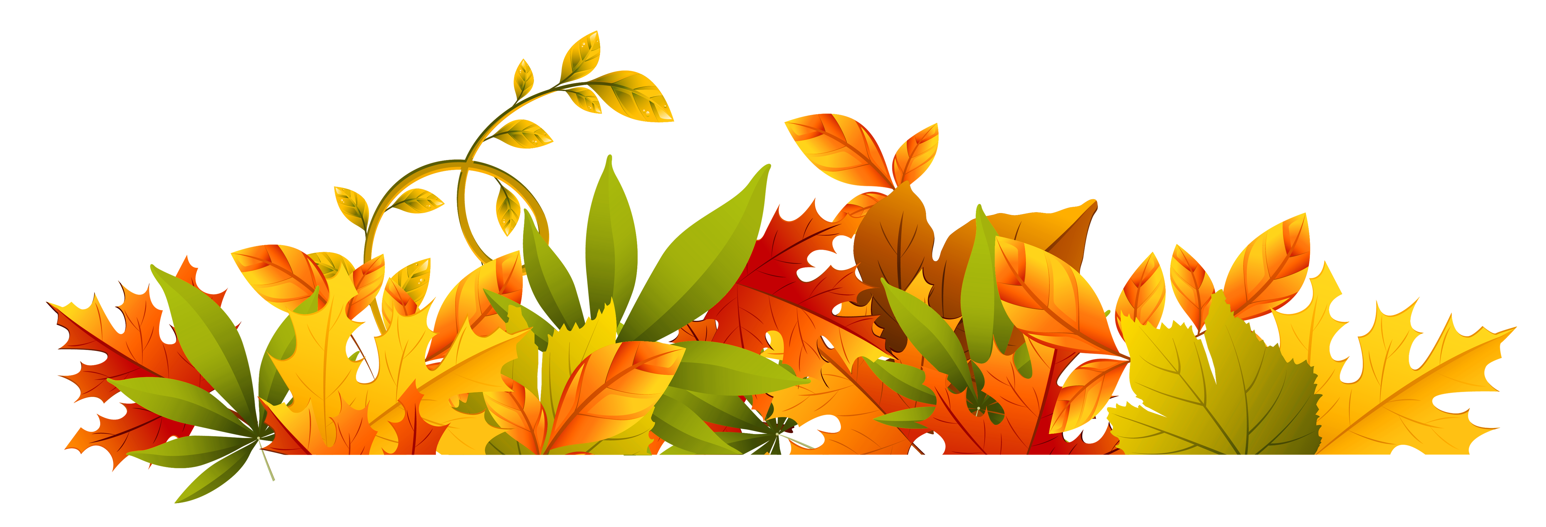 Decorative autumn leaves clip