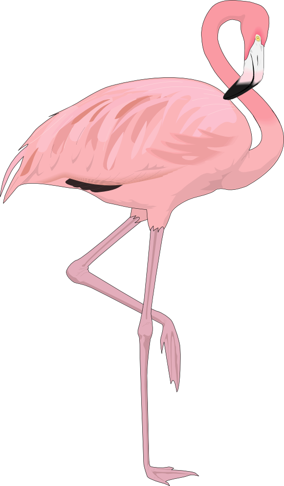 Free Flamingo Clip Art · flamingo4