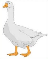 Free Goose Clipart