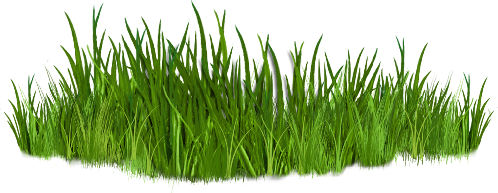 Spring grass transparent clip