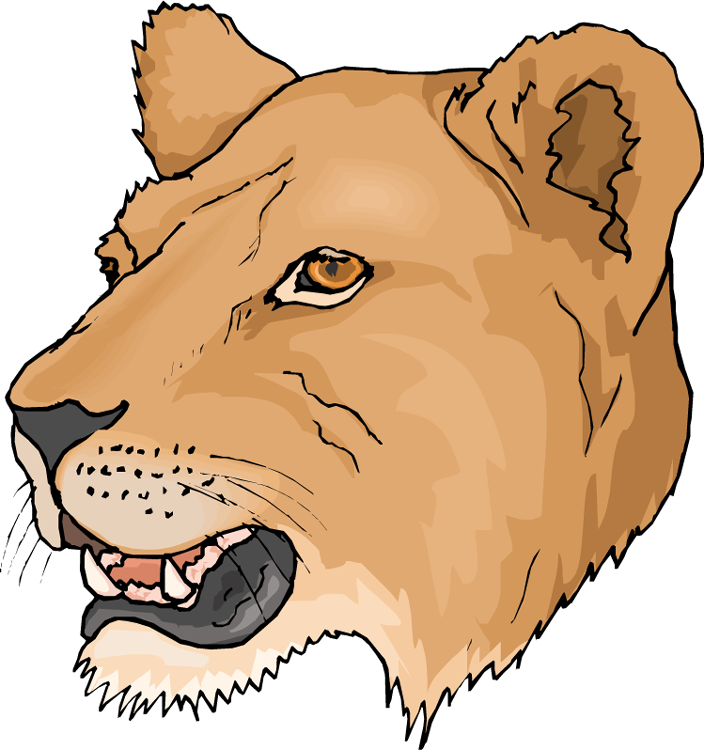 Free Head Lioness Clipart - Lioness Clipart
